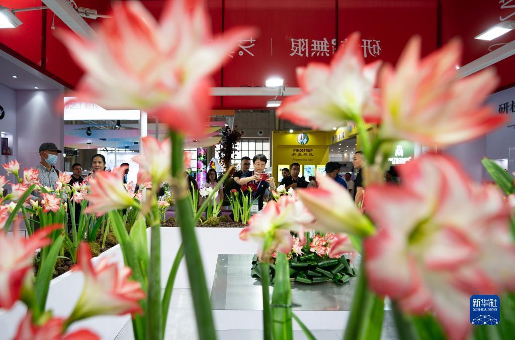 新黄金城会员登录